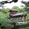 平安神宮神苑