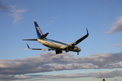 landing
