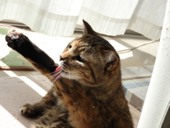 自分磨き♪