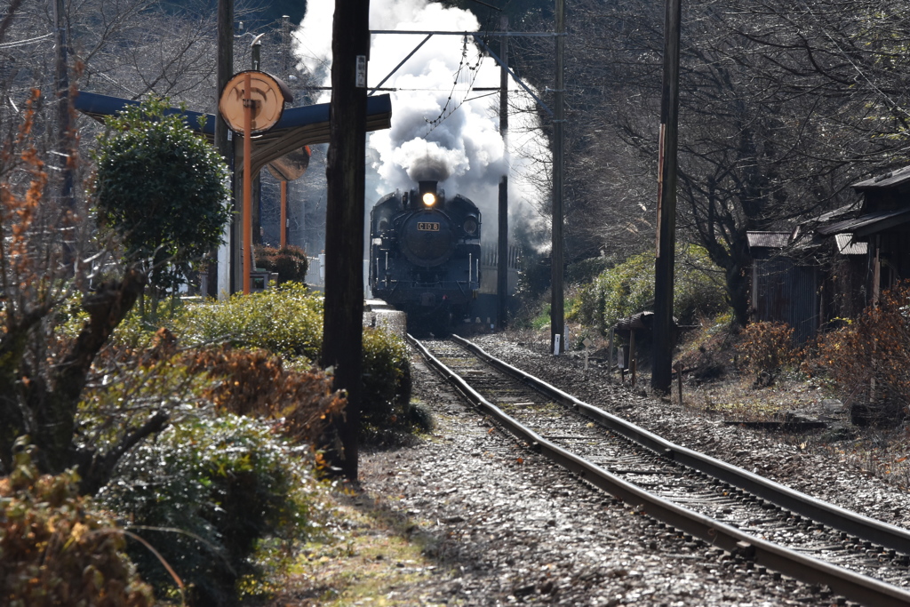 力走！SL急行川根路号　