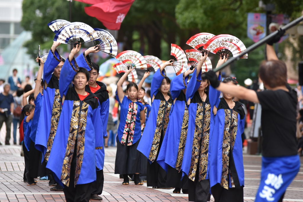 よさこい祭２