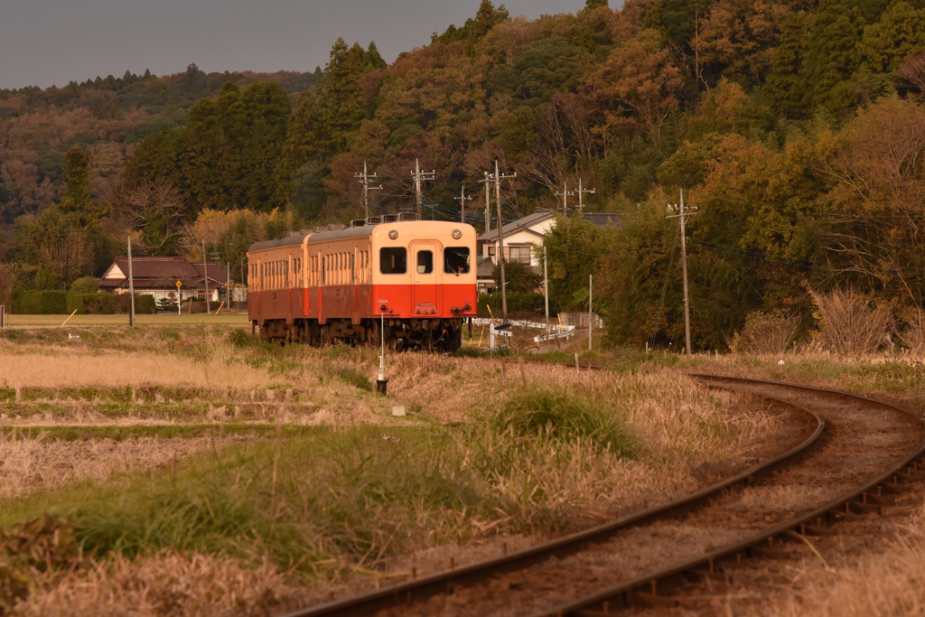 秋の小湊鉄道