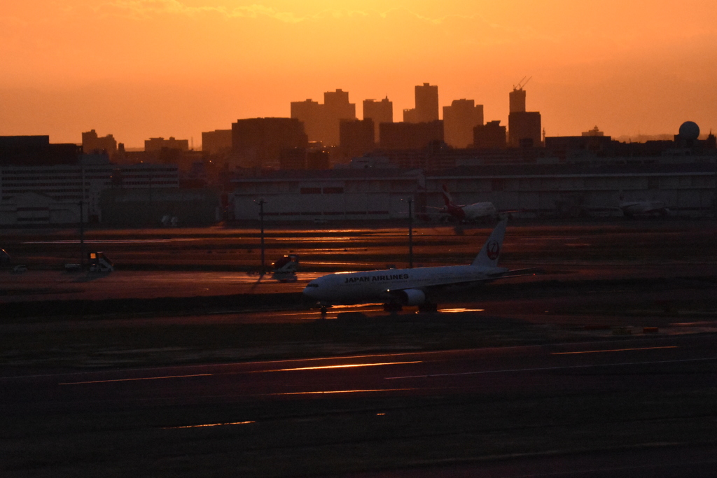黄昏時羽田空港１