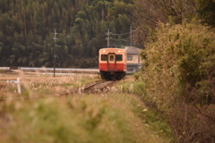 秋の小湊鉄道２