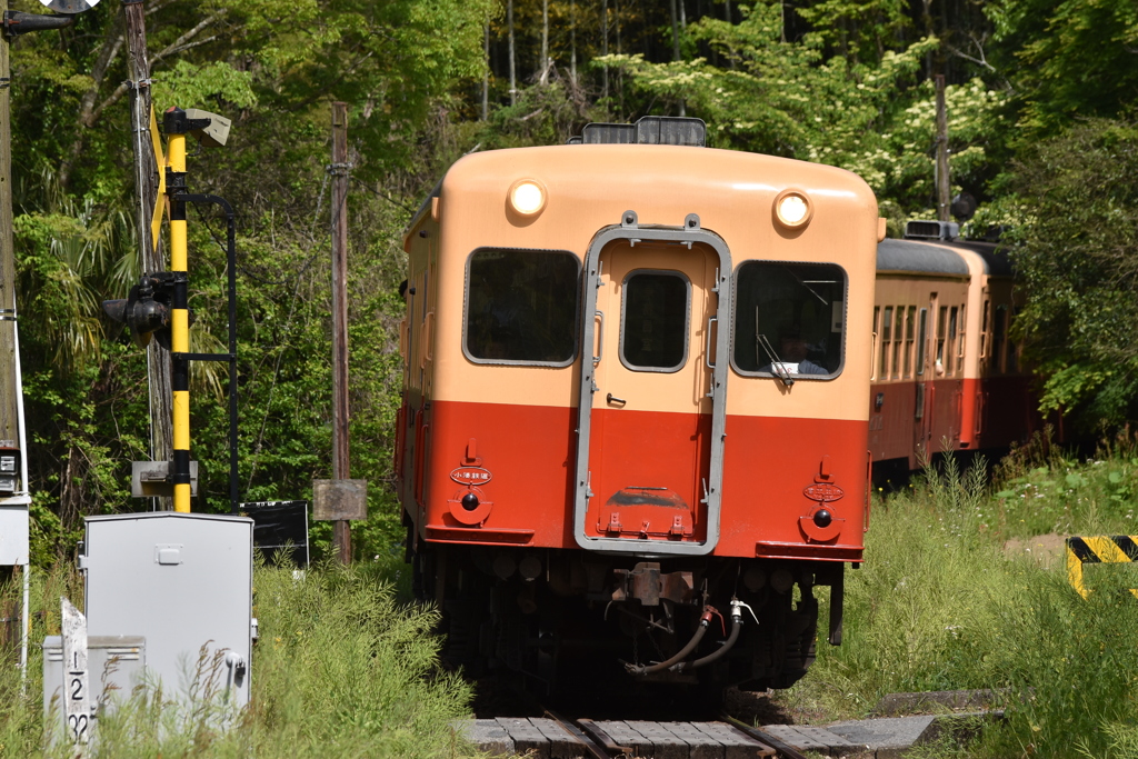 小湊鉄道color