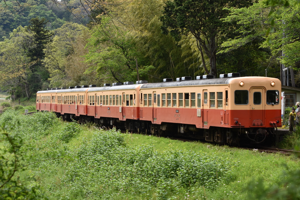 小湊鉄道color