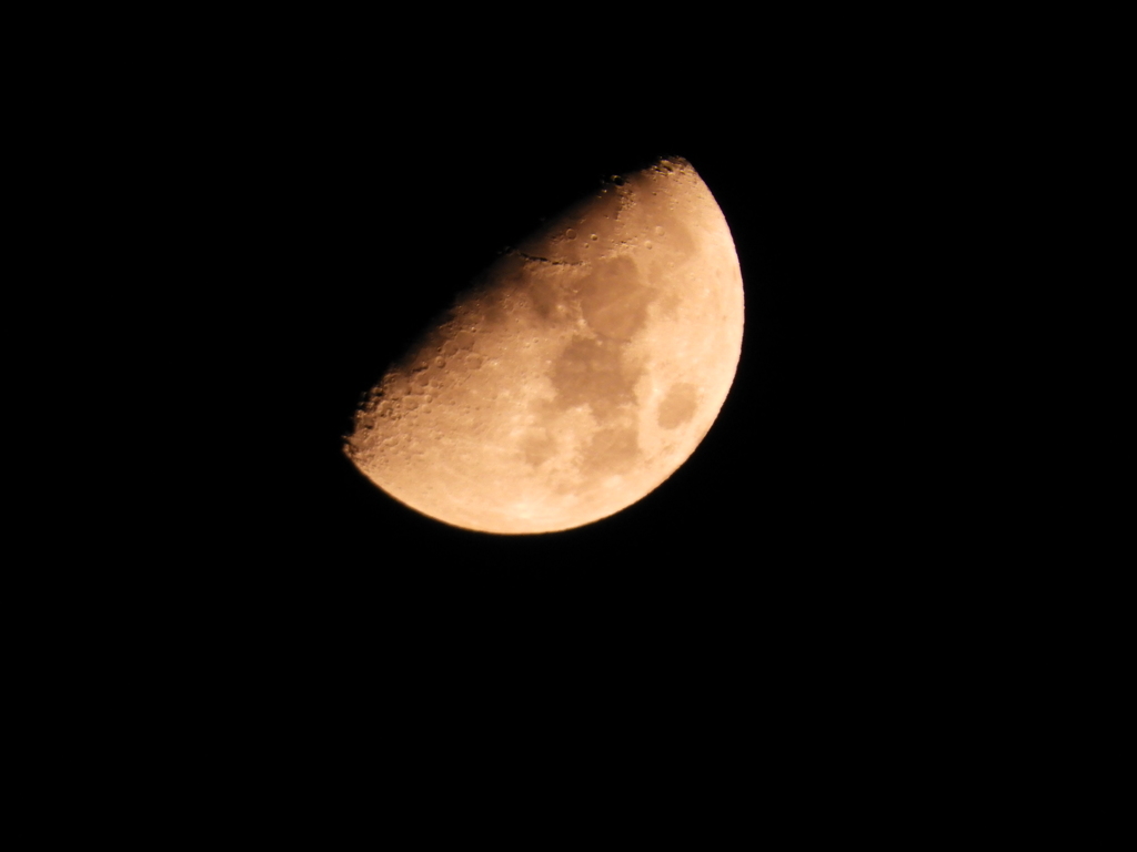 THE  MOON