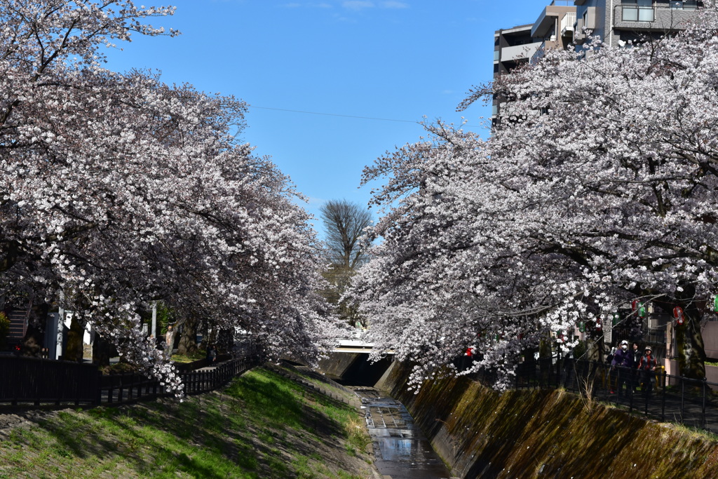 乞田川