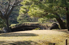 六義園1