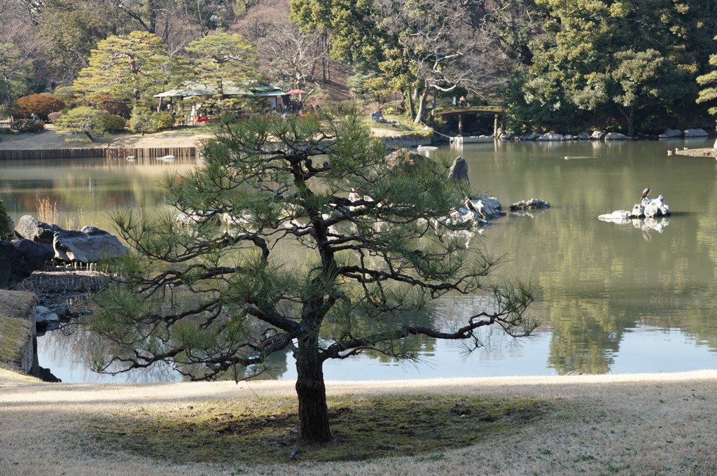 六義園2