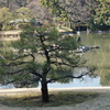 六義園2