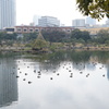 旧芝離宮 恩賜庭園1
