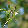 DSC08019