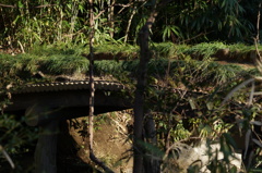 六義園5
