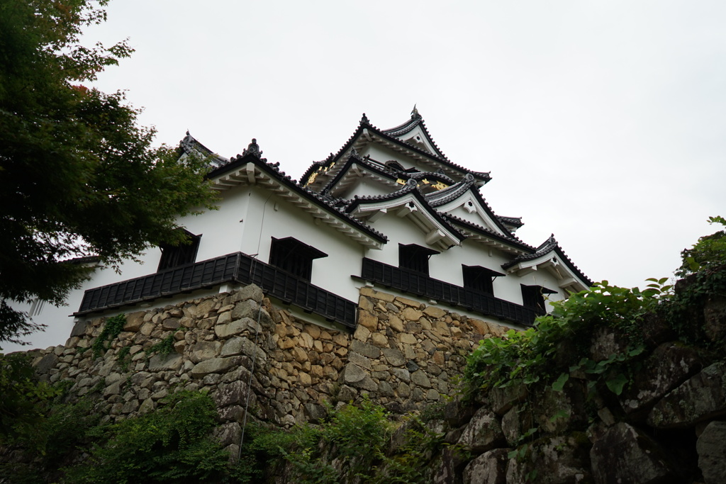 彦根城1