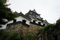 彦根城1