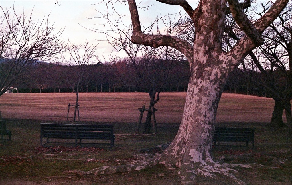 誰もいない公園