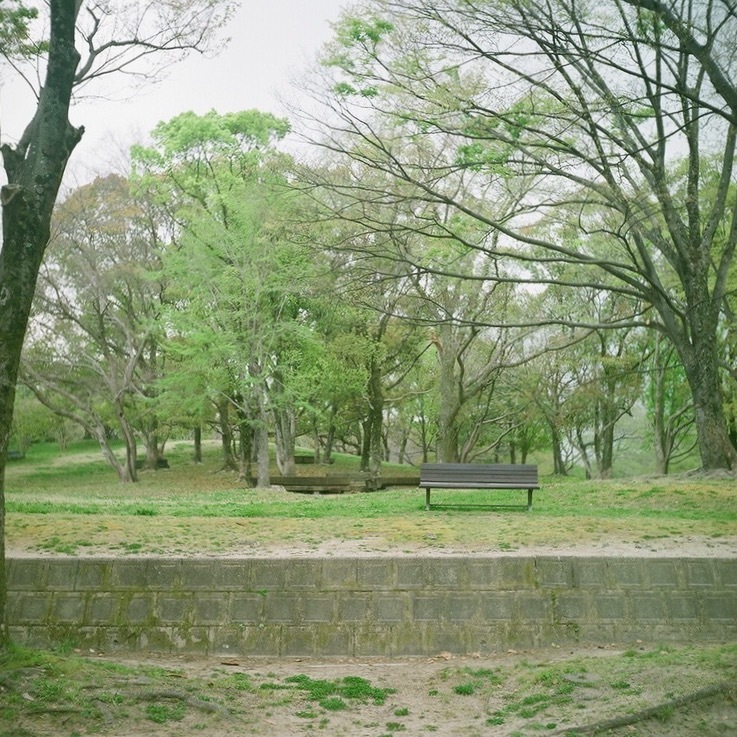 公園のベンチ