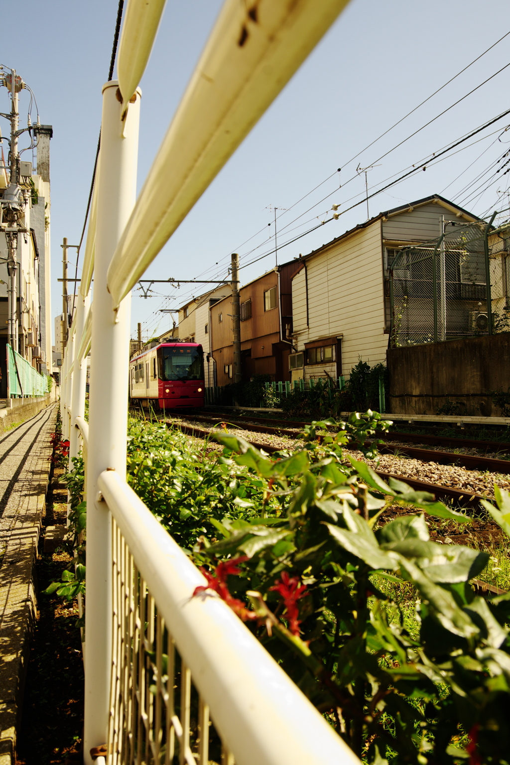 都電荒川線