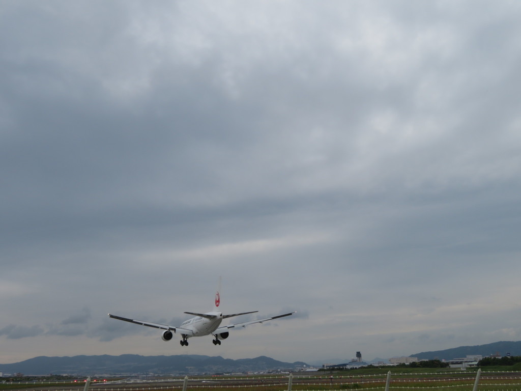 千里川土手にて3