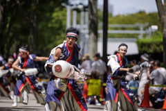 原宿表参道元氣祭 スーパーよさこい