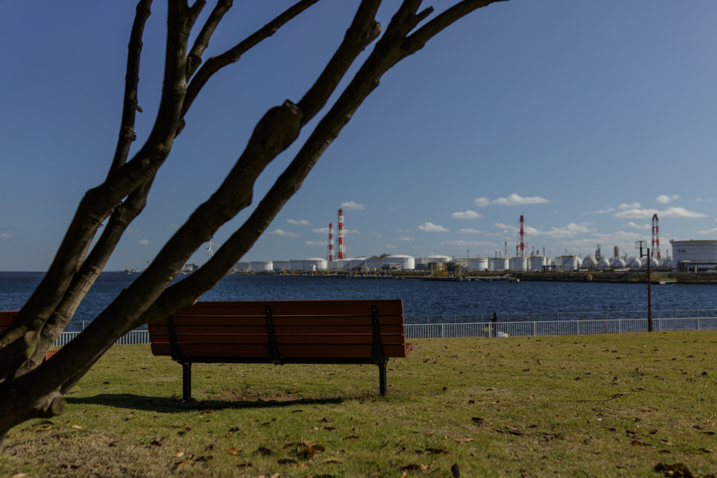 ベンチ