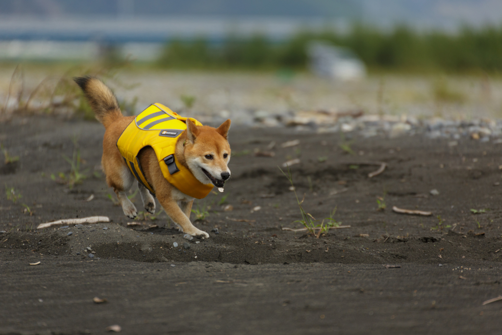 ジャンプ直前