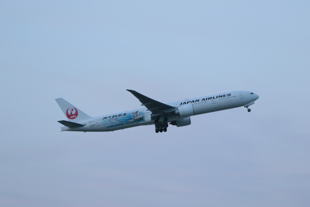 旅客機7
