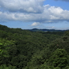 緑×雲