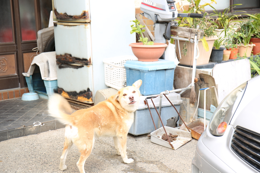 おい！！何撮っているんだ？表に出ろ！！！