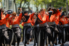 原宿表参道元氣祭 スーパーよさこい