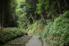 道