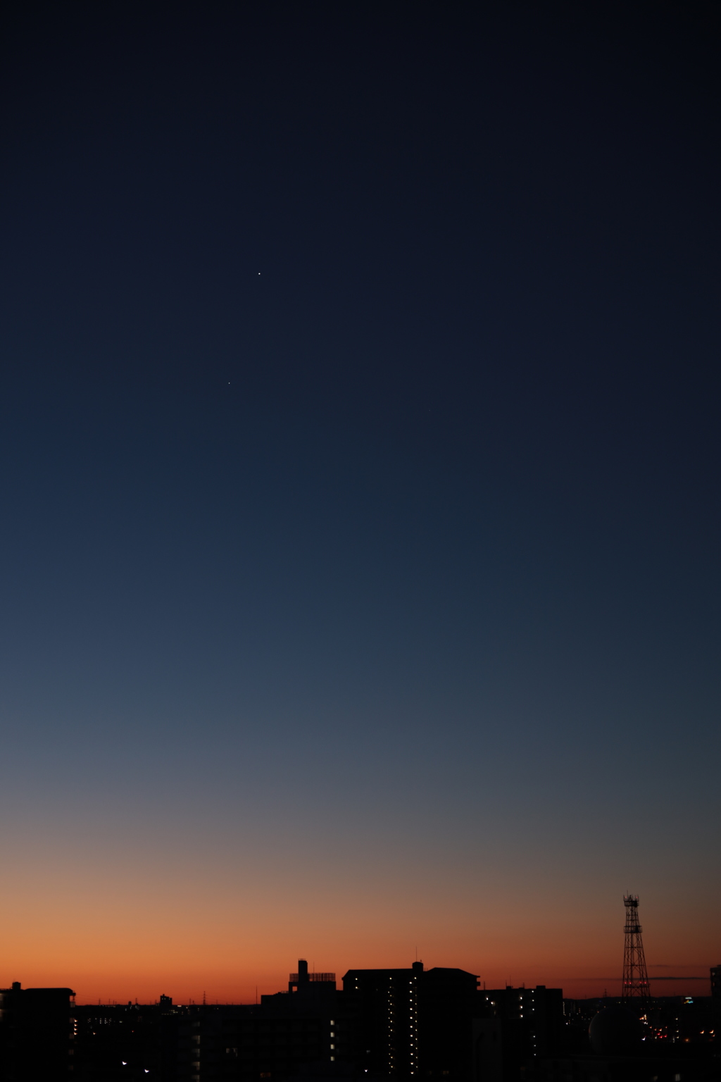 朝