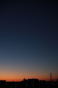 朝