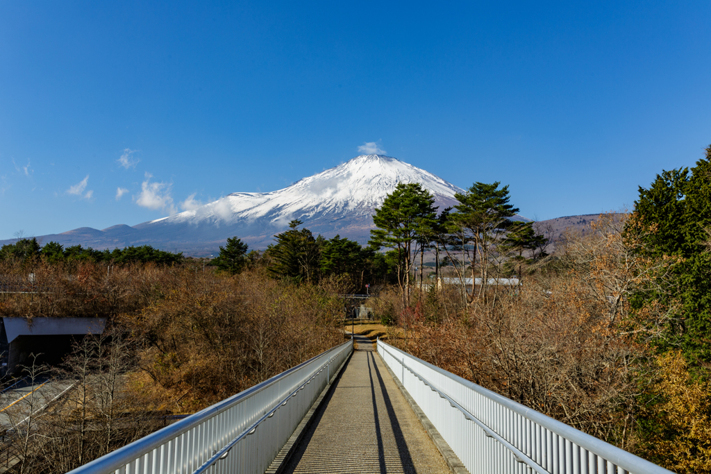 富士山
