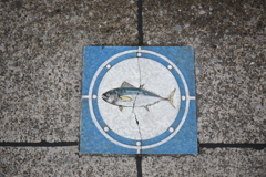 魚