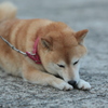 疲れたな…