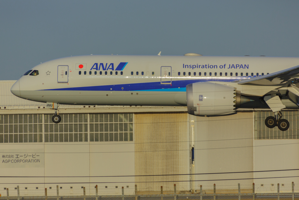 飛行機
