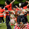 あっぱれ富士