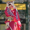 ふるさと祭り東京