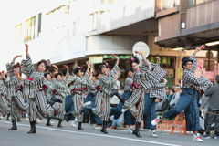 よさこい東海道