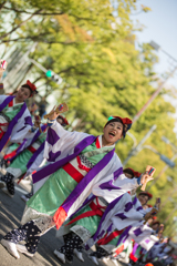 原宿表参道元氣祭 スーパーよさこい