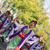 原宿表参道元氣祭 スーパーよさこい