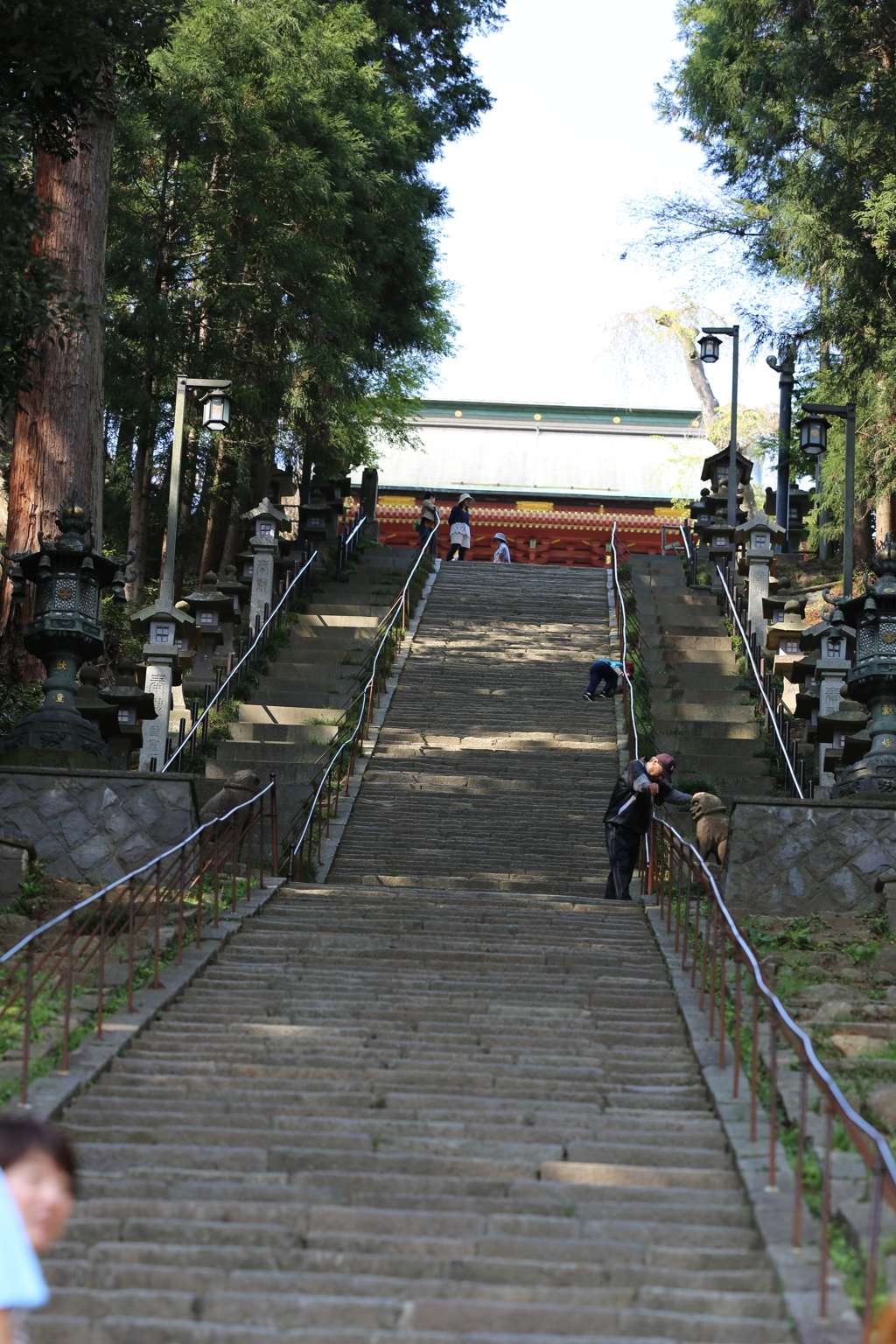 上まですげぇあるなぁ～