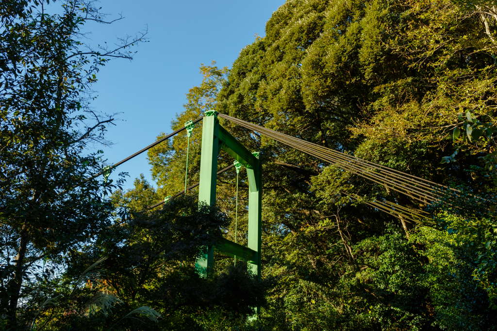 橋
