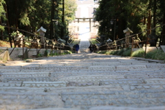 転げ落ちたら大変だ！