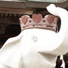 象ノ像
