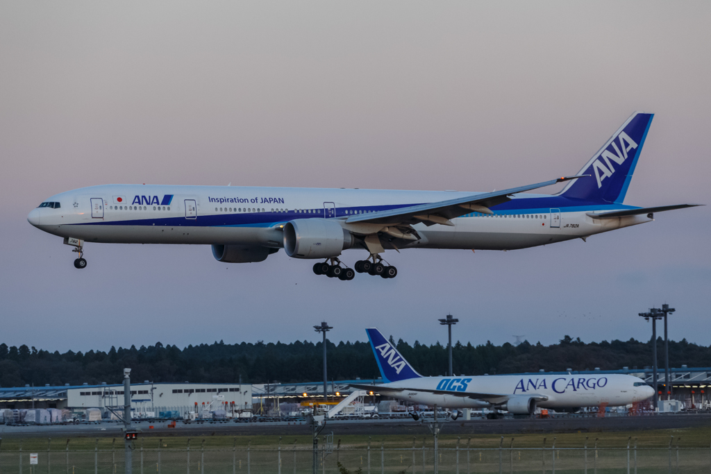 飛行機