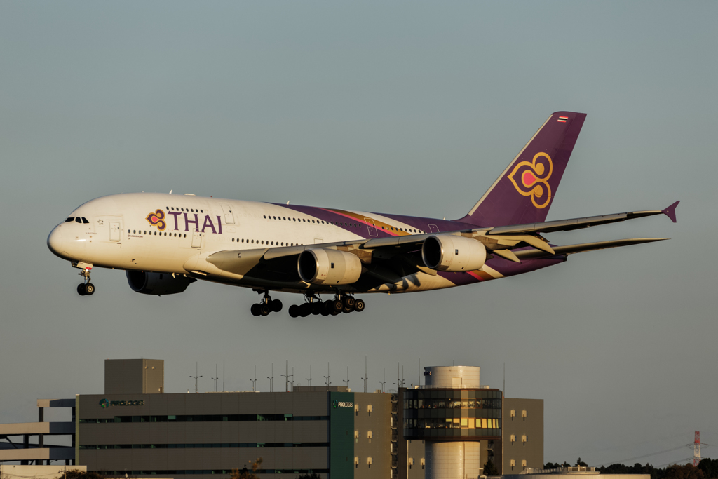 飛行機