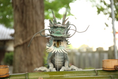 龍の…